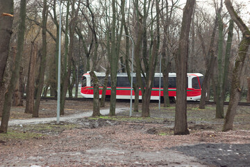 Red Tram Passing Through Park