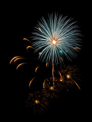 Colorful firework sparkling on black background for celebration and anniversary