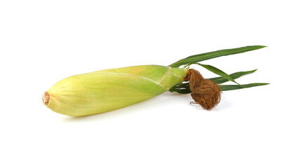 Fresh sweet corn ears with leaves set isolated on white background