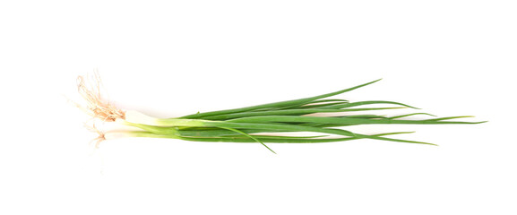 Green onion isolated on the white background top view