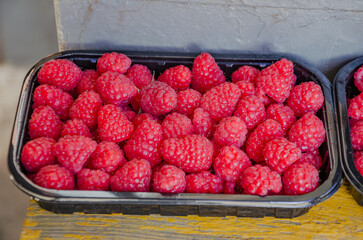fresh raspberries in a container