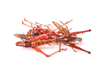 Heap of fried grasshopper isolated on white background