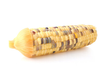 The Boiled waxy corn, Sweet corn on white background.