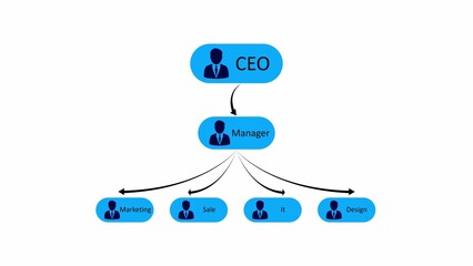 Business organizational chart showing CEO Manager Marketing Sale IT and Design departments organization chart