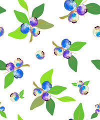 Seamless background with botanical elements. Blueberries with green leaves or branches with blue fruits for blueberry day decor. Vector.
