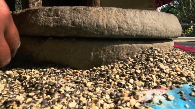 Under natural sunlight in a rural setting, an Indian woman uses a manual grinding stone to process black gram lentils, reflecting cultural traditions and self-reliant domestic practices.