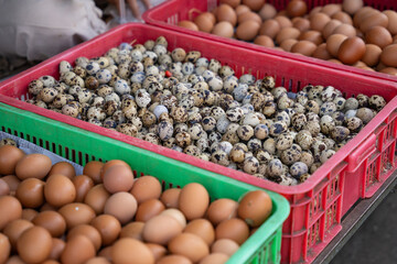 Quail eggs and chicken eggs at Asian street market