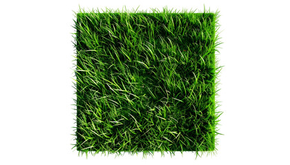 A square patch of lush green grass isolated on a solid black background