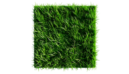 A square patch of lush green grass isolated on a solid black background
