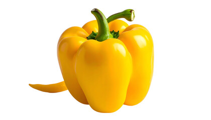 Isolated vibrant yellow bell pepper with stem, side view, on black background
