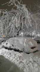 Snow covers parked car under tree branches in winter season on a quiet street