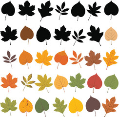 Obraz premium Colorful autumn leaves in various shapes and colors