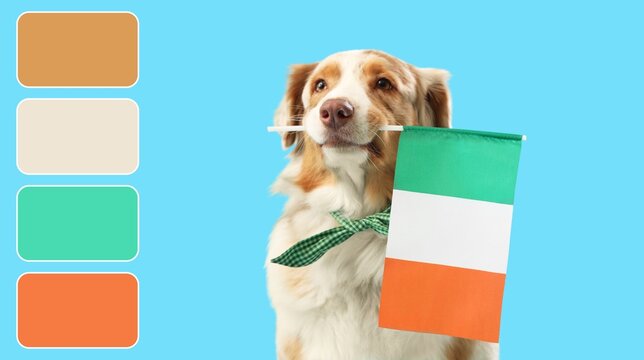 Cute dog with Irish flag celebrating st. Patrick's Day on blue background. Different color patterns