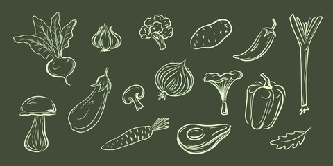 Hand drawn vegetables set in chalkboard style on dark green background. Perfect for menu design, restaurant branding, and packaging. Vector illustration. © Iana