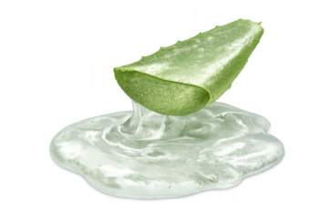 Aloe vera leaf slicing open, releasing transparent gel and highlighting natural skincare, healing, and hydration properties