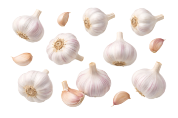 Fresh Garlic Bulbs and Cloves Isolated