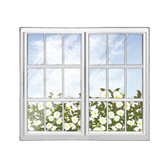 窓に映る山茶花