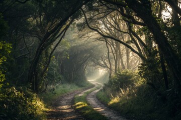 A winding forest trail bathed in dappled sunlight disappearing into a dense, misty woods