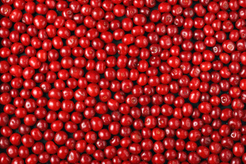 Natural texture from many ripe red berries close-up. Red cherries copy space.