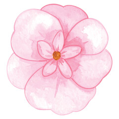 Watercolor pink flower with orange center on white background vector illutrastion transparent background