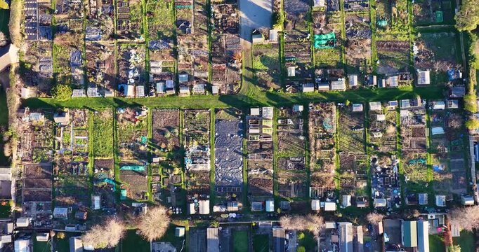 Aerial drone footage of the town of Harrogate in North Yorkshire UK showing typical British gardening allotment in the winter time, showing farming patches at the bottom of houses and gardens