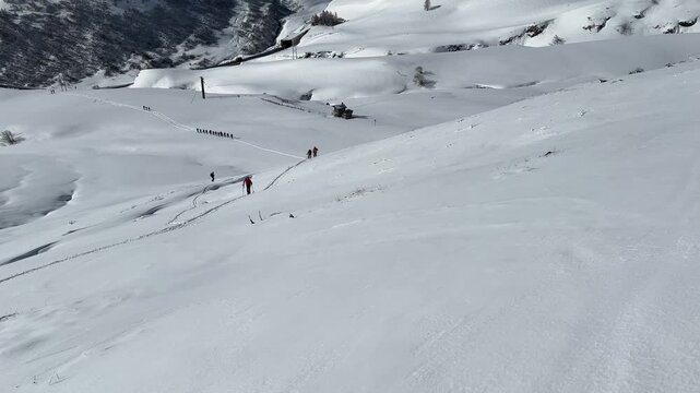 group of people doing ski touring at col du lautaret in fresh snow