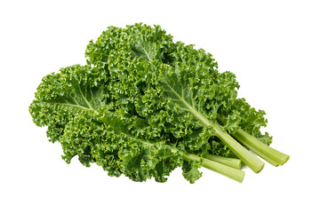 Fresh Curly Kale Leaves Isolated