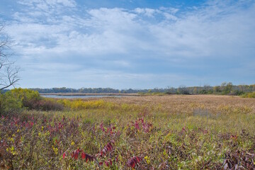 Fototapeta premium Horicon Marsh Wildlife Refuge in Wisconsin
