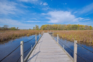 Obraz premium Horicon Marsh Wildlife Refuge in Wisconsin