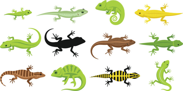 Lizard and gecko reptile vector set featuring colorful cartoon animals, wildlife species, and tropical nature designs