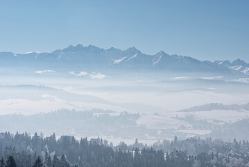 mountains in the fog
