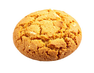 A single, close-up photograph features a textured, round cookie with a golden-brown hue