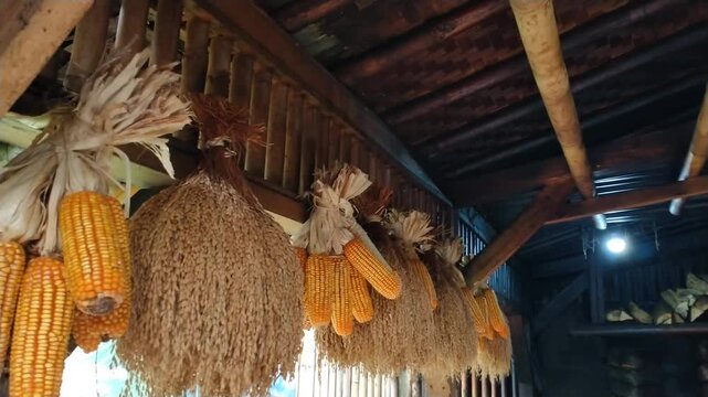 interior space of a traditional farmer's house in the Java region of Indonesia, showing rice and corn hanging as food supplies