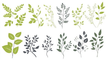 Set of vector images showing leaves and branches for design patterns, invitations, and decoration for special occasions to use in various projects and creative works