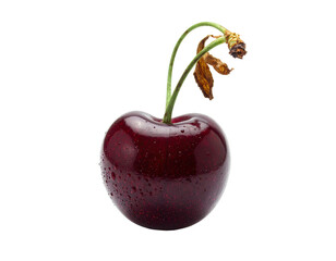 A single ripe, red fruit with a stem and dried leaves against a stark black background