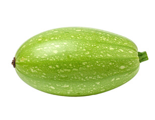 Isolated, ovular, green squash with speckles and a small stem on a transparent background