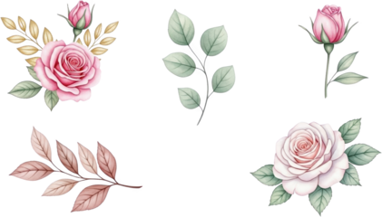 A collection of delicate pink and white watercolor roses with assorted soft green and muted gold botanical leaves creating elegant floral arrangements pink rose flower bloom