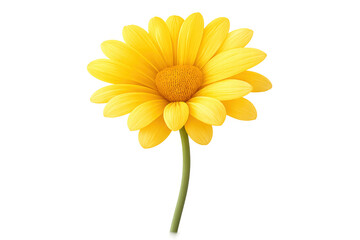 Naklejka premium Yellow gerbera daisy flower blooming, radiating vibrant color and fresh natural beauty on a transparent background