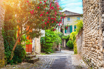 Vaison-la-Romaine, a medieval town set atop a rocky cliff. Discover the enchanting medieval town of Vaison la Romaine perched on a rocky cliff in Provence Alpes Cote dAzur, Vaucluse, France.