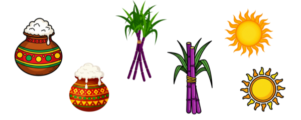 Pongal Festival Elements Set with Traditional Clay Pots Overflowing with Rice, Sugarcane Bundles, and Sun.Png transparent background