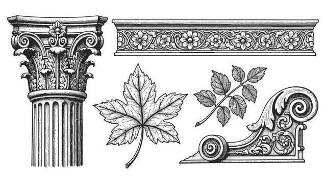  Vector illustrations of Greek Ionic volutes and Roman acanthus frieze elements for architectural design and classical decoration.eps