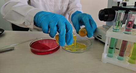 Scientist conducting experiment with test tubes and petri dish in laboratory