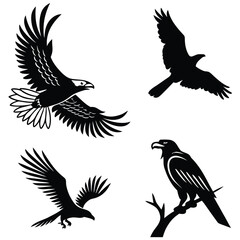 Fototapeta premium A set of vector bird silhouettes featuring flying eagles, crows, and doves in black nature-inspired designs for wildlife illustrations and wing tattoos