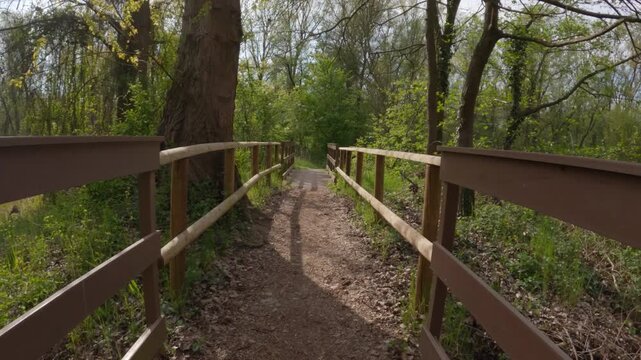 Cycling in the Ticino Park, lombardy, Italy