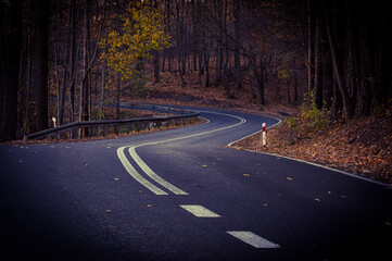 Fototapeta premium Asfaltowa droga przez wysoki las. Jest jesień, ziemia pokryta jest warstwą suchych liści. Na drzewach są żółte mi brązowe liście.