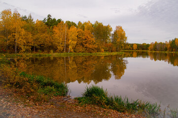 Jezioro z brzegami porośniętymi iglastymi i liściastymi drzewami. Jest jesień, liście mają żółty i brązowy kolor. Drzewa odbijają się w gładkiej tafli jeziora. © boguslavus