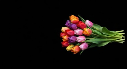 Vibrant multicolored tulip bouquet on black
