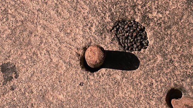 An Indian woman in a rural village uses a traditional hand-operated millstone (quern) to grind black gram lentils, showcasing authentic village life, heritage food preparation, and indigenous househol