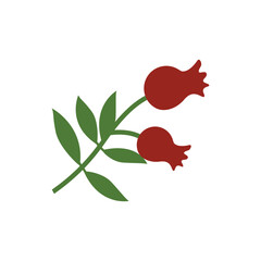 Hand-Drawn Pomegranate Sketch with Branch, Leaves and Flower Silhouette Vector Icon
