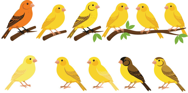 Cute yellow bird illustrations set with different poses feather colors and branch elements vector